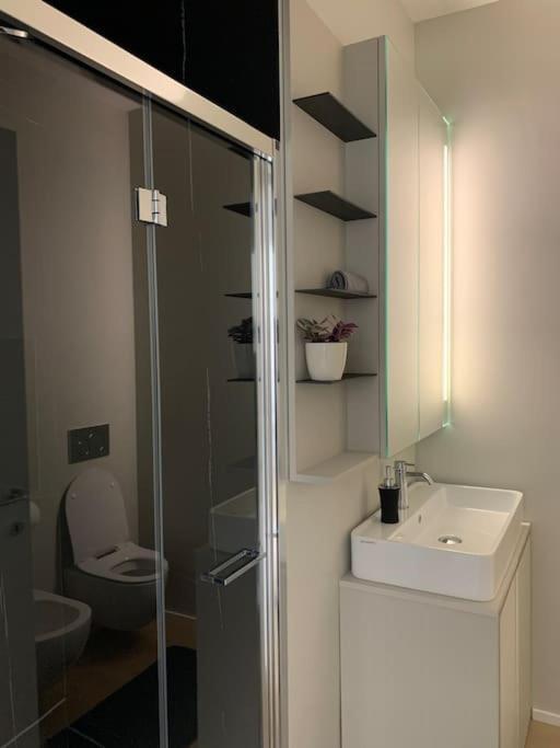 Live - Via Massagno Apartment